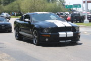 Black Mustang